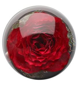 Weiss Calla Lily Baby Blau Rose Silk Petals Polly Flowers Brautstrauss Handgemacht Ncci1914 Com