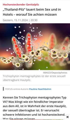 Bild zum Beitrag
