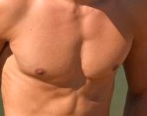 Brustmuskel breit - (Training, Bodybuilding, flach)
