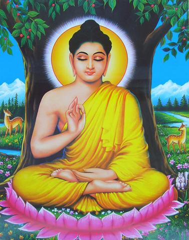 siddhartha gautama - (Sprache, Lernen, Übersetzung)