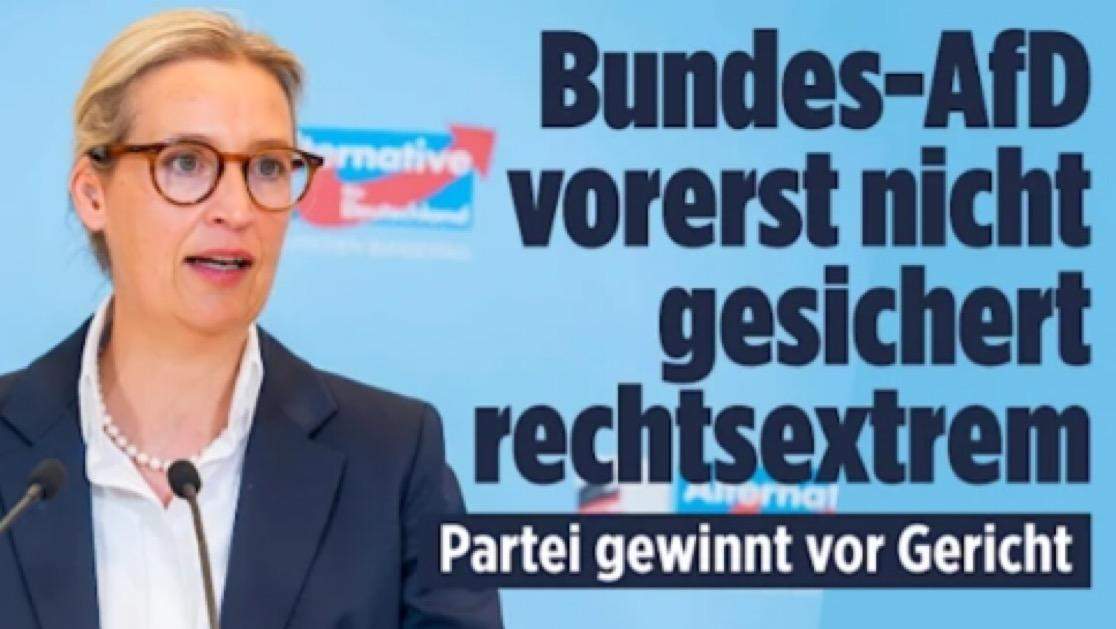 Bundes-AfD gerichtsfest nun doch nicht rechtsextrem. Na dann ist doch jetzt alles easy ♂️?
