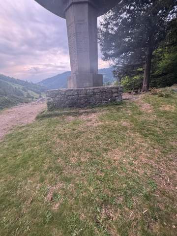 Bild zum Beitrag