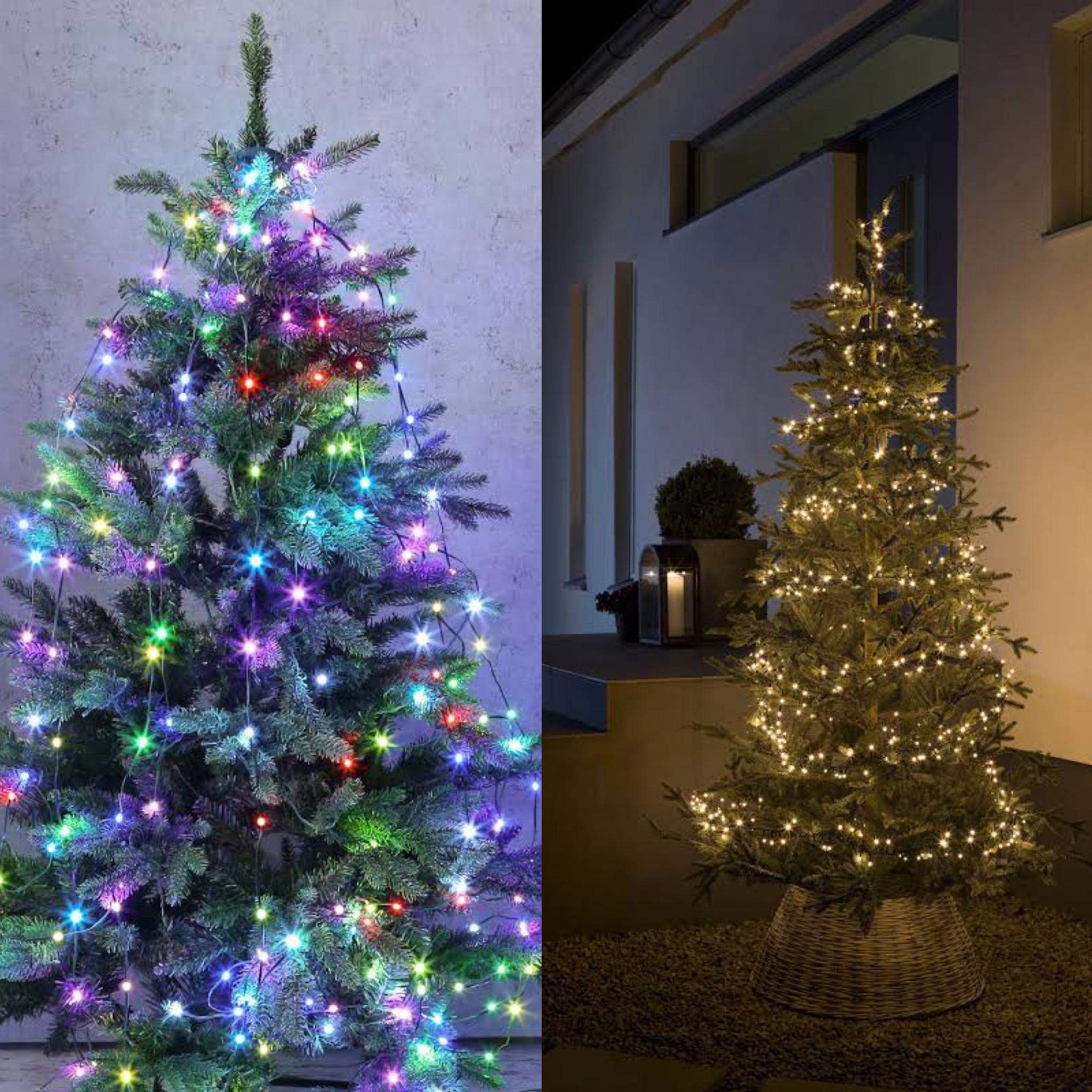 Bunte oder einfarbige Lichter bei Weihnachtsbaum? (Weihnachten)