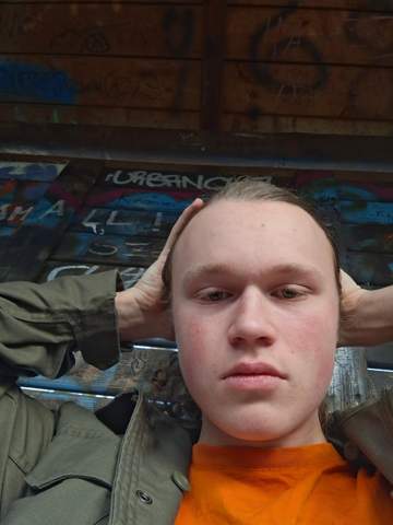 Bild zum Beitrag