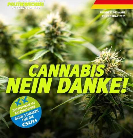 Bild zum Beitrag
