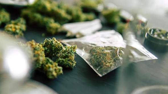 Cannabis-Legalisierung?
