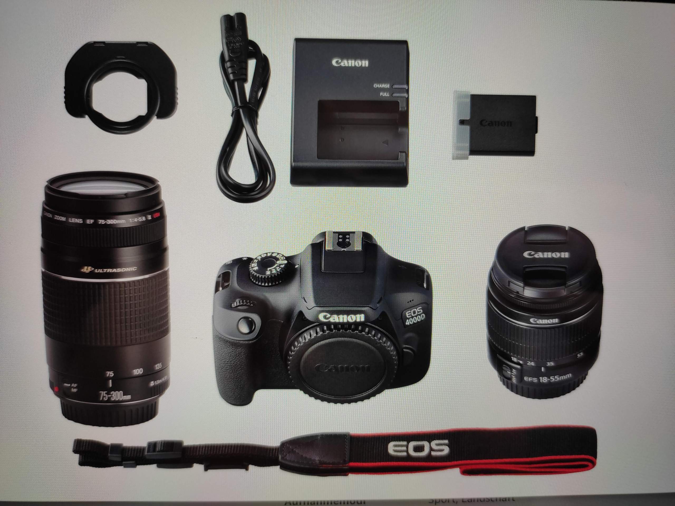 Canon EOS 4000D Kit? (Kamera, Spiegelreflexkamera, Plane Spotting)