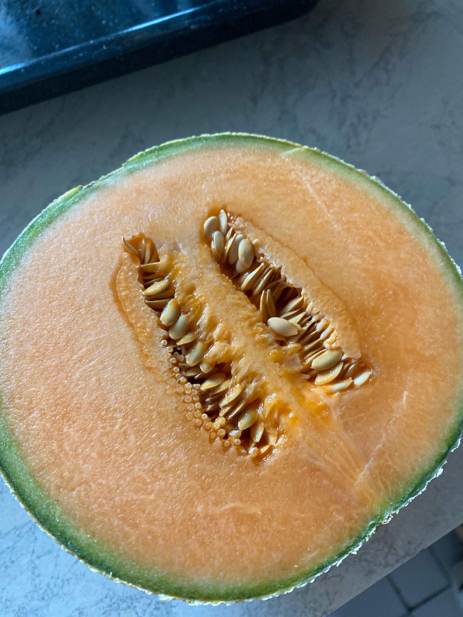 Cantaloupenmelone schmeckt bitter? (Geschmack, Melone)