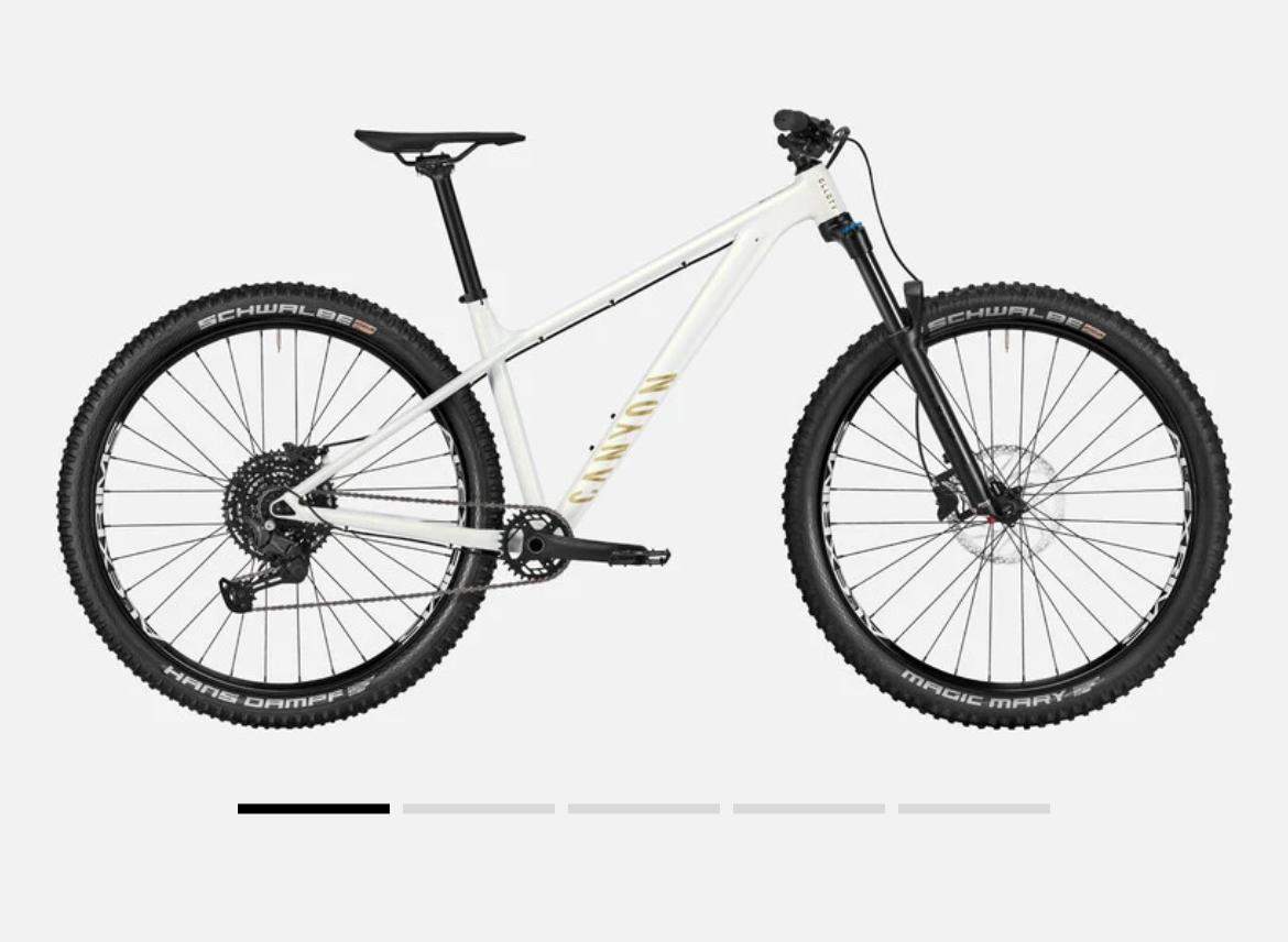 Canyon Stoic 2 als Dirtbike? (Motor, Mountainbike, Reifen)