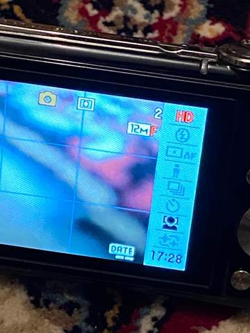 Casio EX-S12 Digitalkamera Blitz permanent ausgestellt?