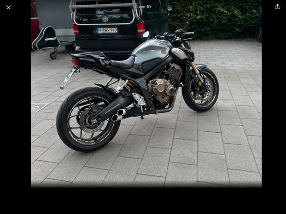 Bild zum Beitrag