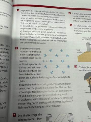 Bild zum Beitrag