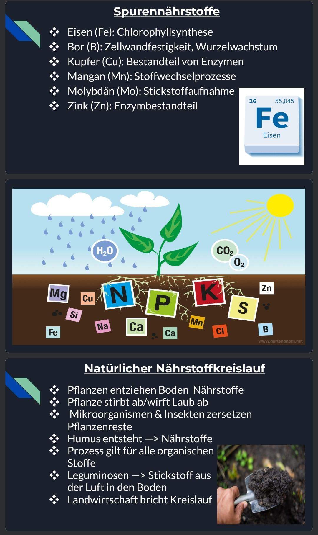 Chemie Pr sentation Welche Note W rdet Ihr So Einer Pr sentation Geben 