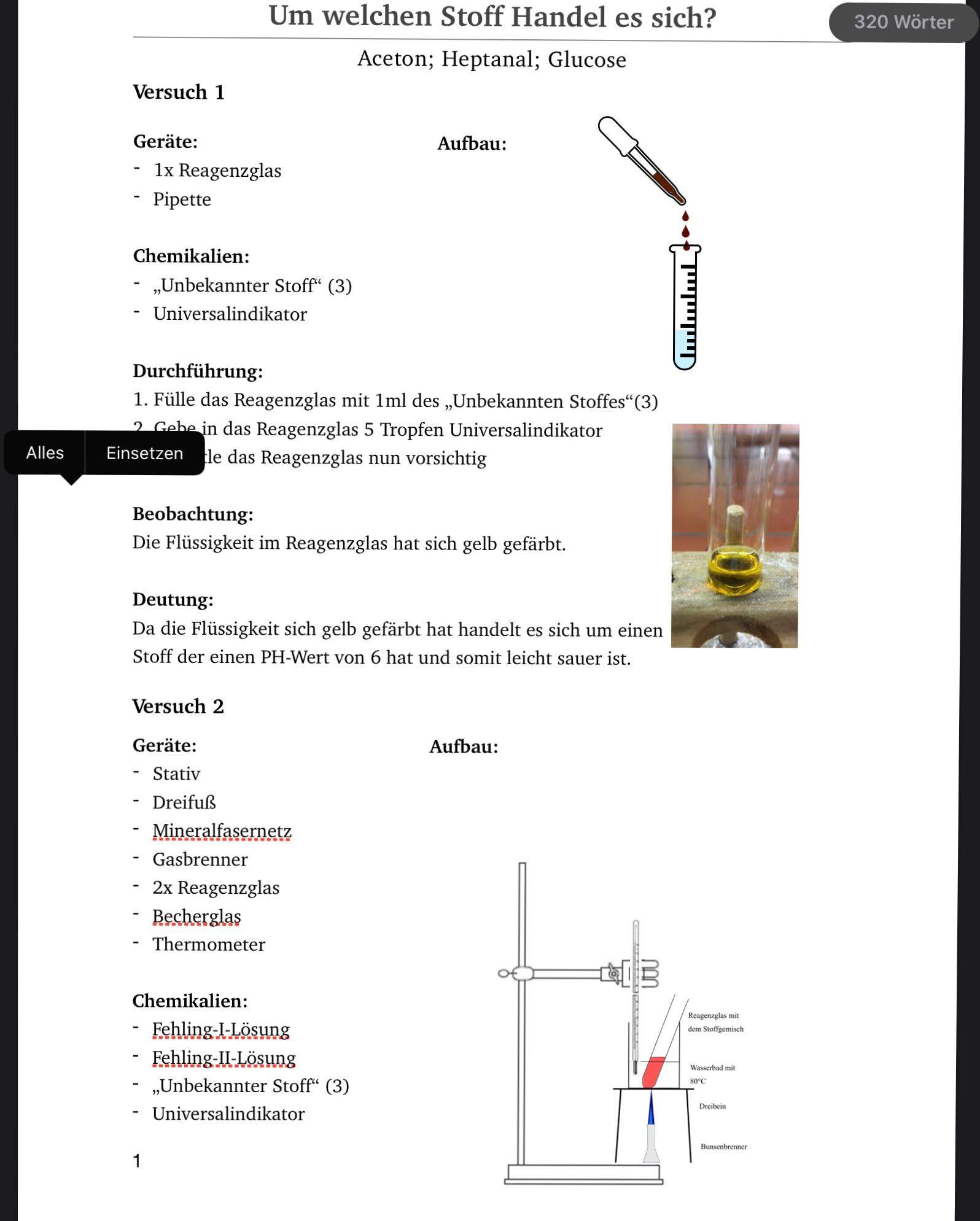 Chemie Protokoll Deutung Tollenprobe und Fehling Probe? (Computer