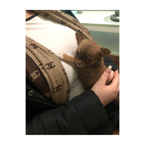 Verliebt in mann mit offener beziehung Verliebt in mann mit offener beziehung