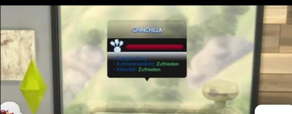 Chinchilla in Sims 4?