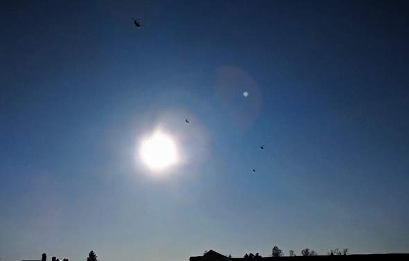Bild zum Beitrag