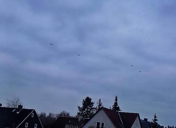 Bild zum Beitrag
