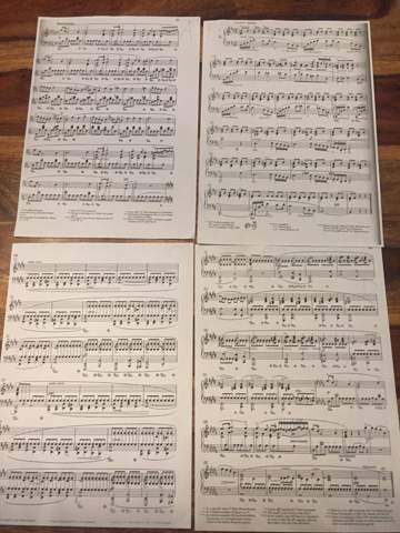 Chopin Regentropfen Prelude Musik Klavier Klaviernoten