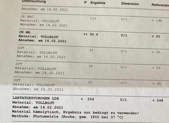 Ckmb Und Ldh Wert Bedenklich Gesundheit Und Medizin Blutbild Ckmb Und Ldh Wert Bedenklich Gesundheit Und Medizin Blutbild