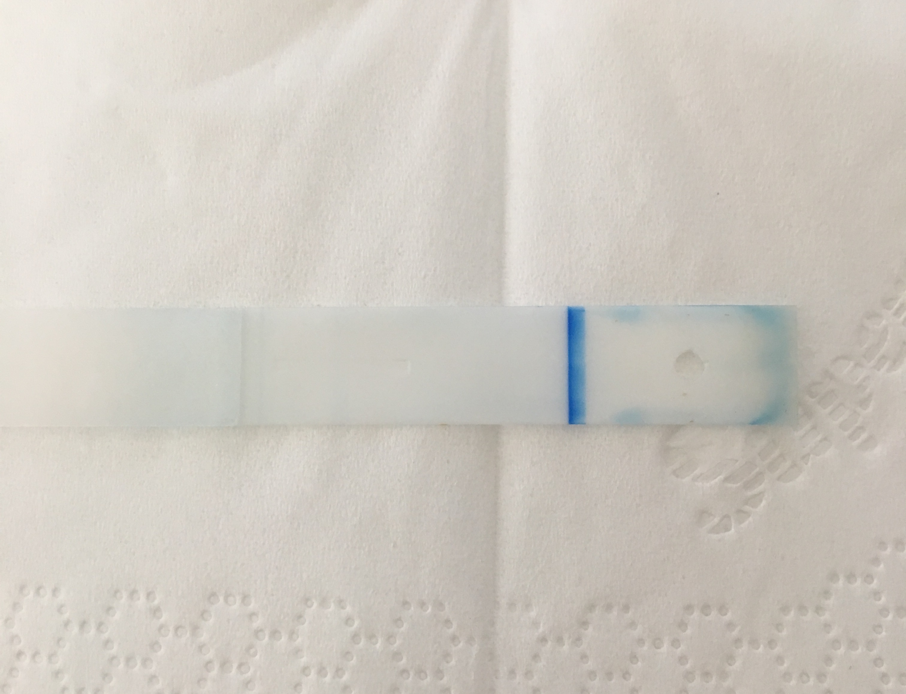 Clearblue Test Leicht Positiv Oder Ist So Eine Linie Immer Da Schwanger Menstruation Symptome