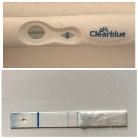 Will er nur freundschaft plus test Will er nur freundschaft plus test