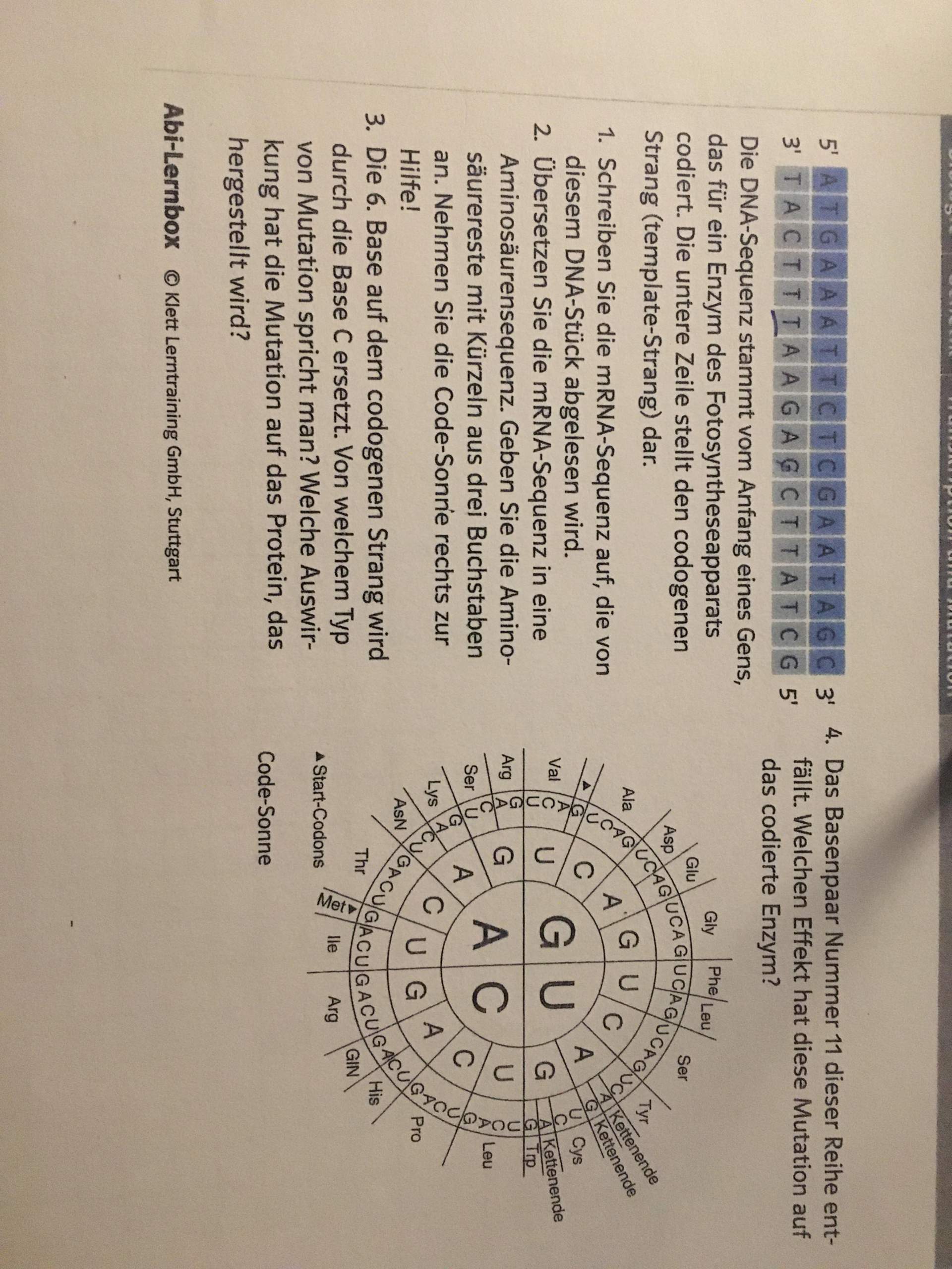 Codesonne code sonne -genetik-? (Gesundheit und Medizin, Biologie)