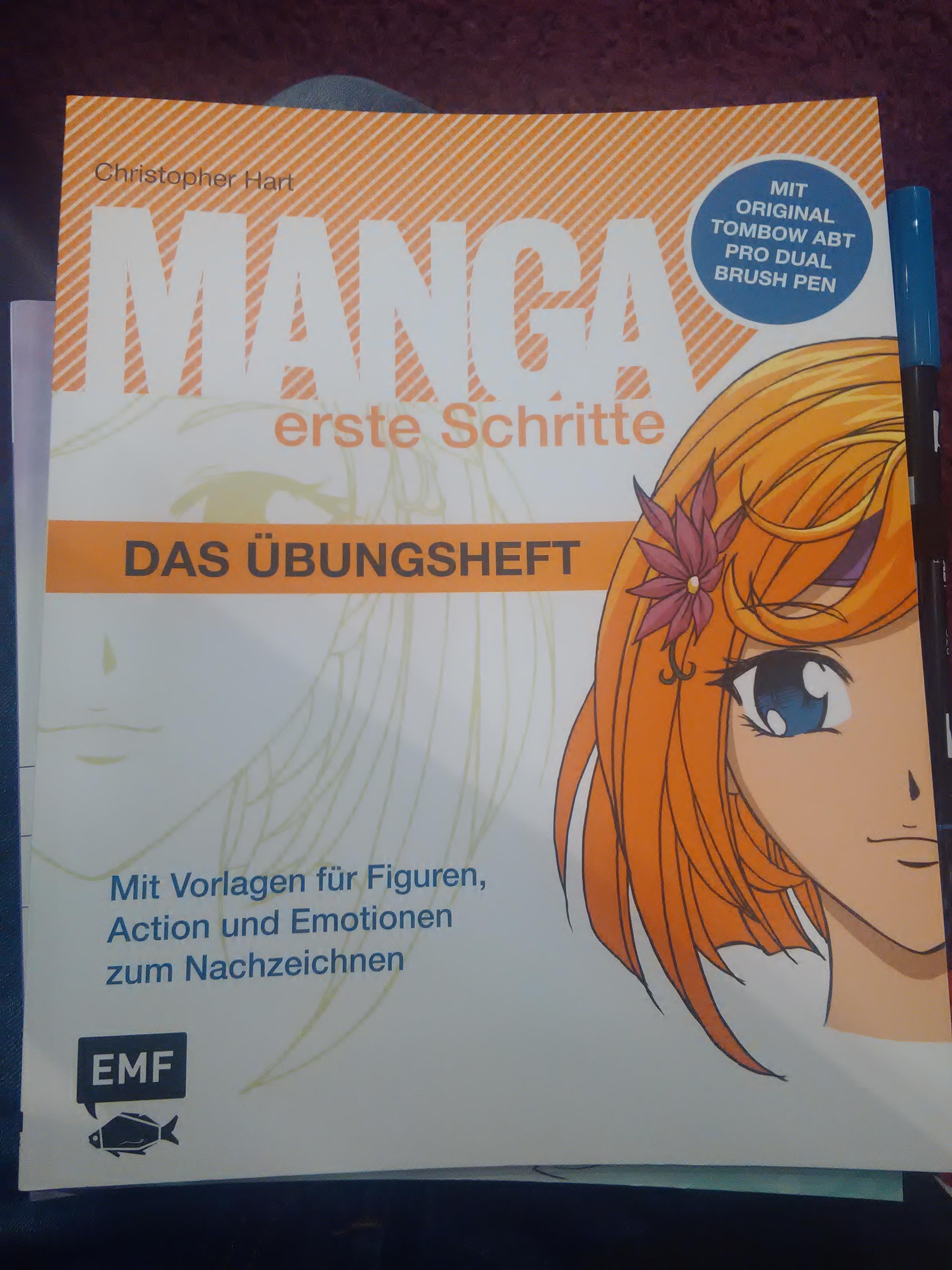 Comic Und Manga Zeichnen Lernen Anime Kunst Anfanger