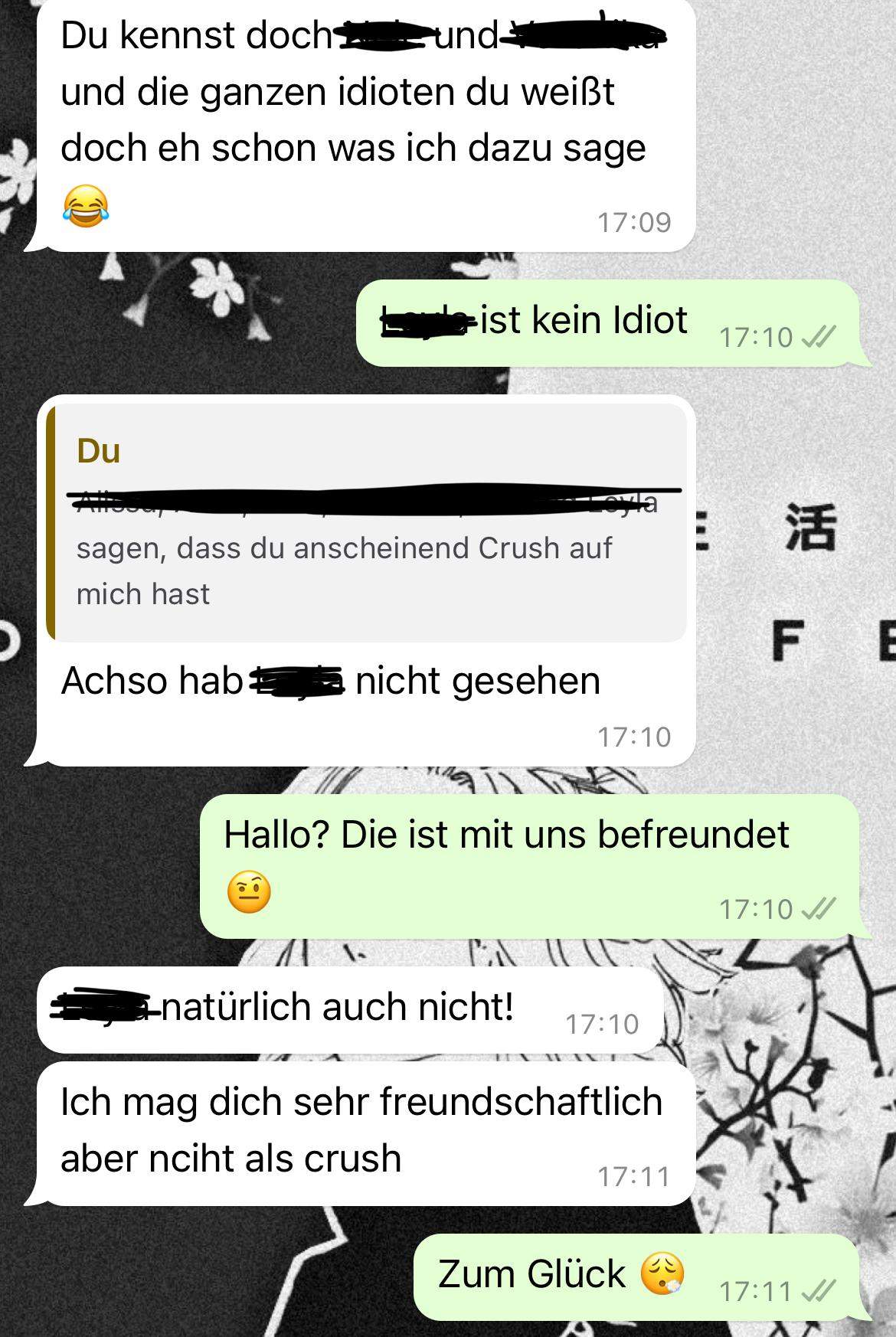 CrushTest geht zu weit? (Liebe, Mädchen, Jungs)