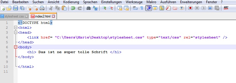 CSS-Datei einbinden: Was mache ich falsch? (Informatik, HTML)