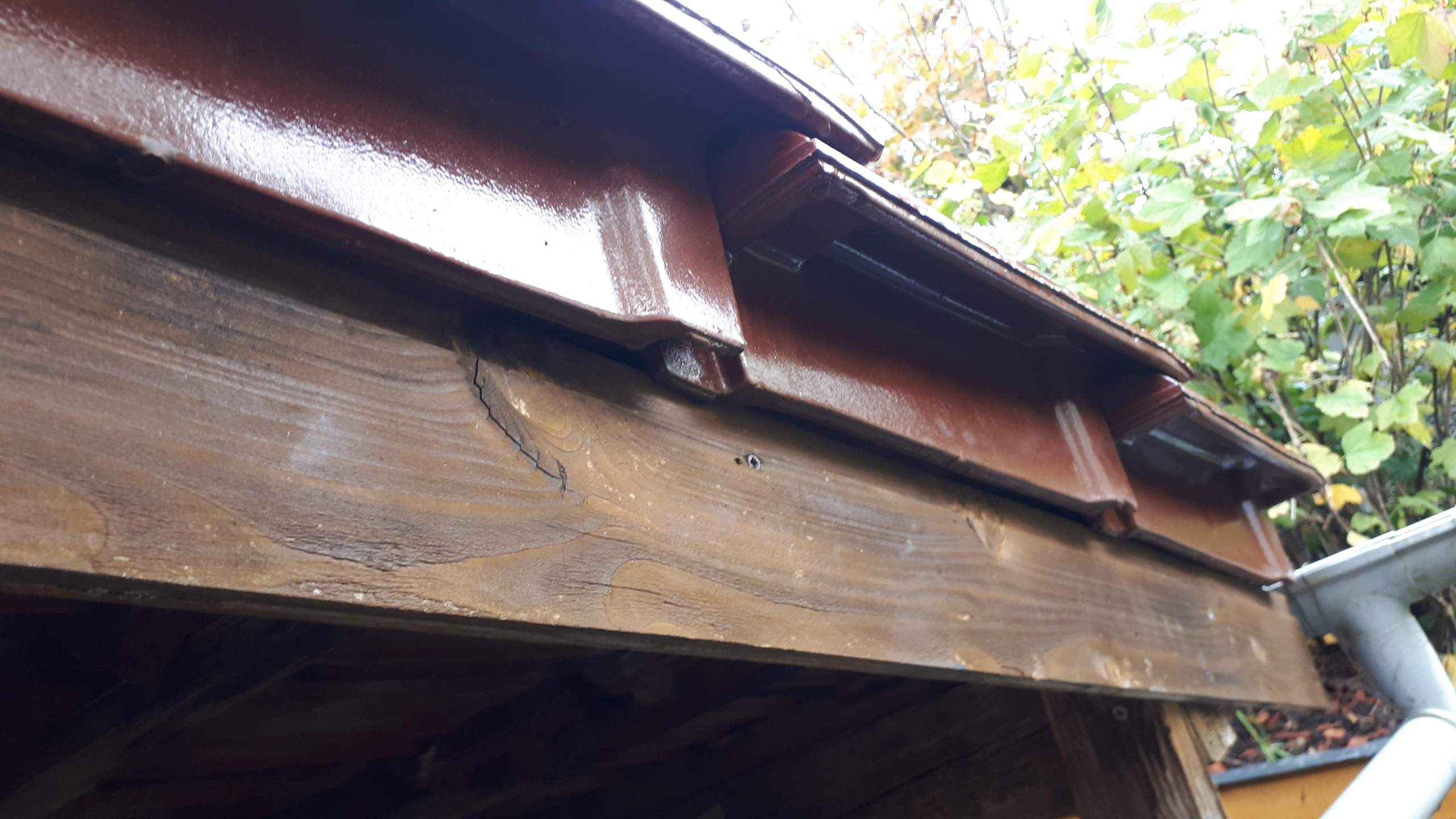 Dach an kleinem Holzvetschlag undicht? (Reparatur, Dachdecker, Gartenhaus)