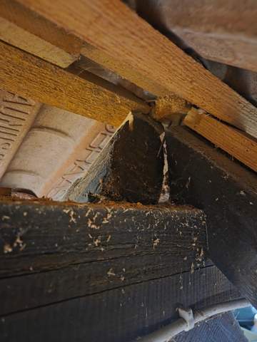 Dachbalken Und Sparren Haben ALLE Risse Ist Das Bedenklich Sollte Sich 