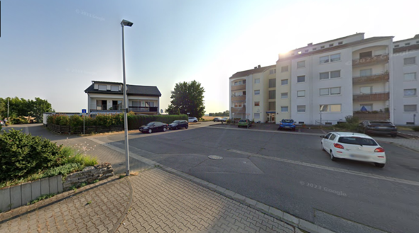 Bild zum Beitrag