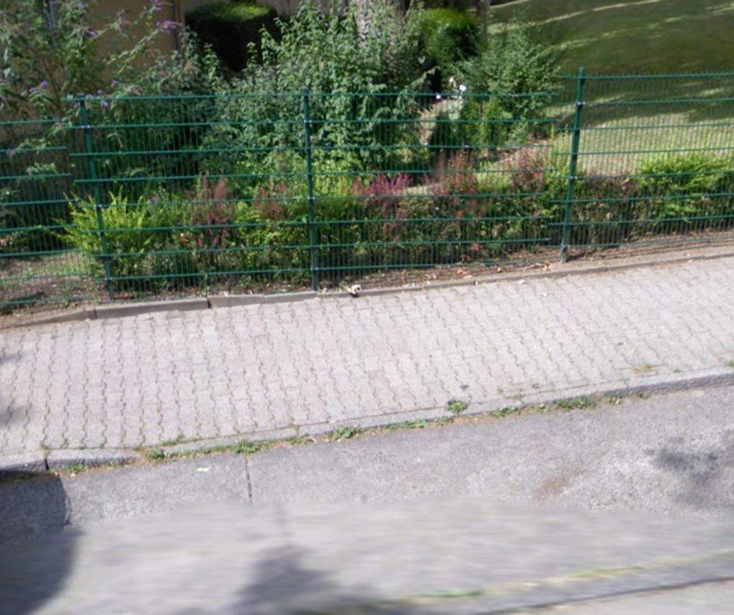 Darf ich dort parken, obwohl der Bordstein abgesenkt ist? (Auto, Polizei, Führerschein)