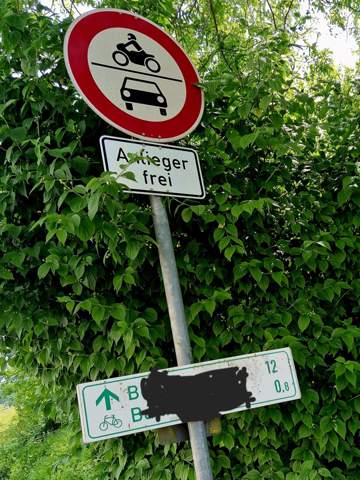 Bild zum Beitrag