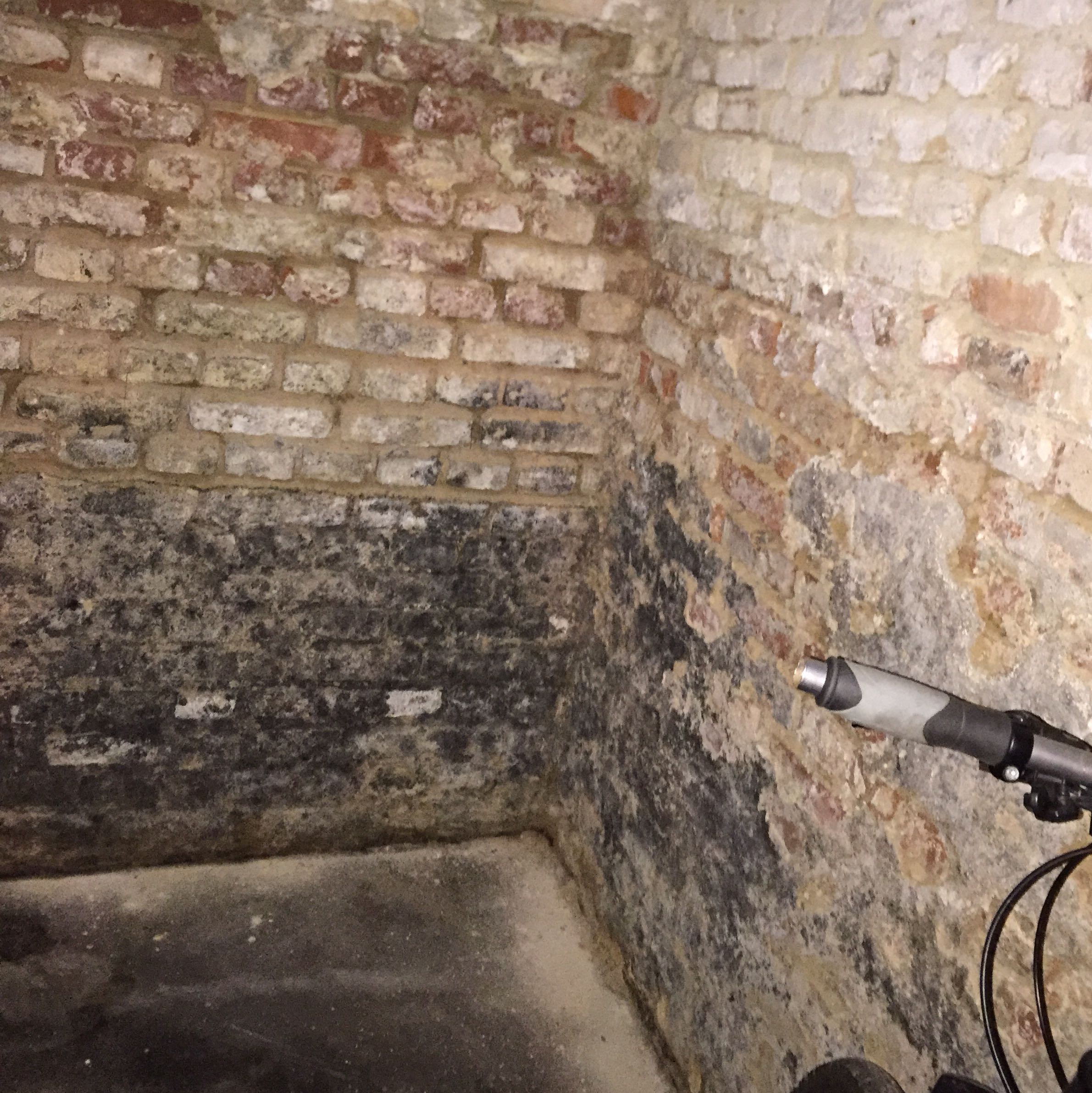 Darf ich wegen Schimmel im Keller und Wohnung, außerordentlich kündigen