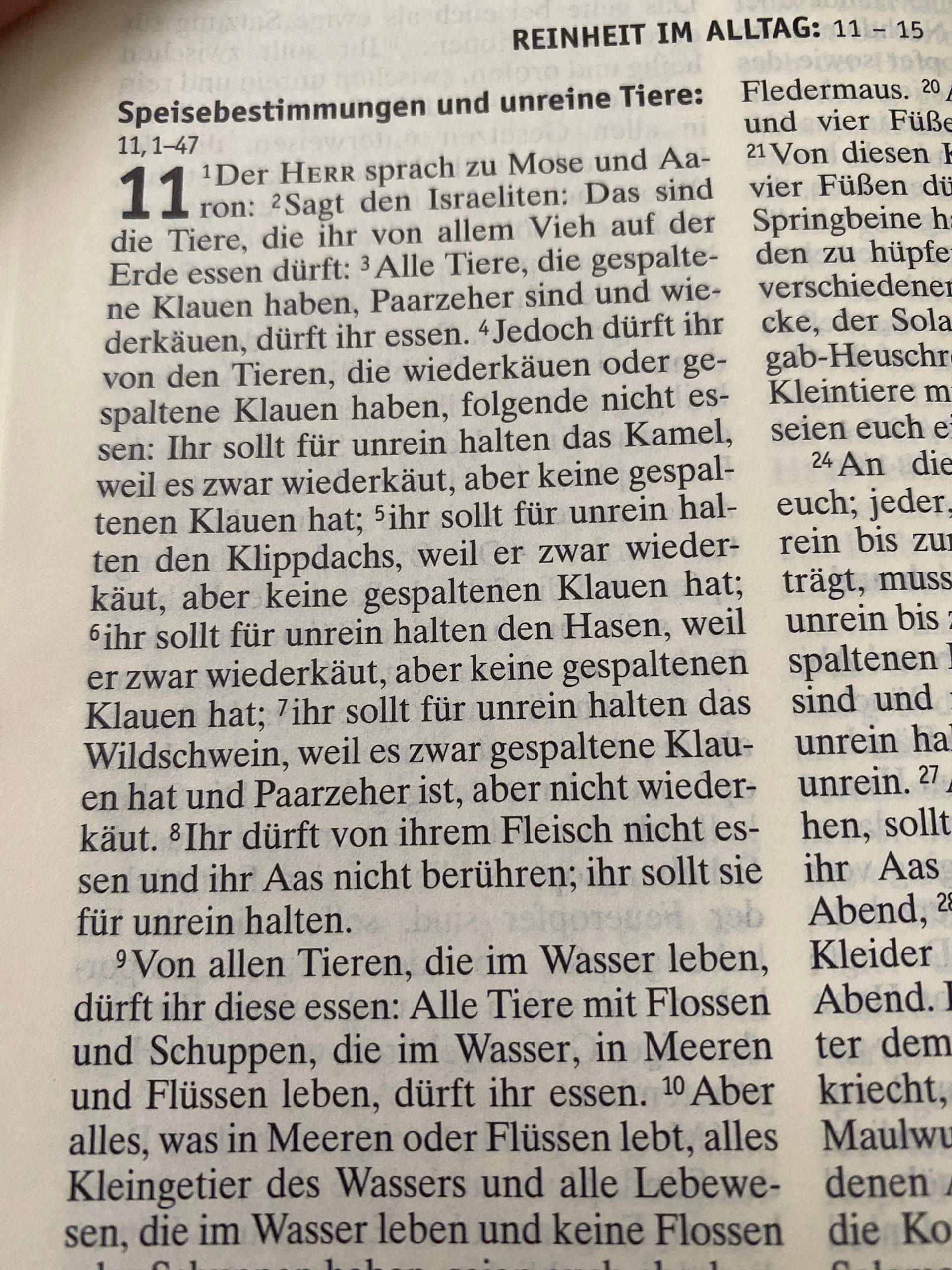 Darf man als christ alles essen? (Christentum, Gott, Bibel)