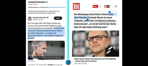Bild zum Beitrag