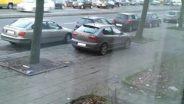 Parkendes Auto - (Verkehrsrecht, parken)