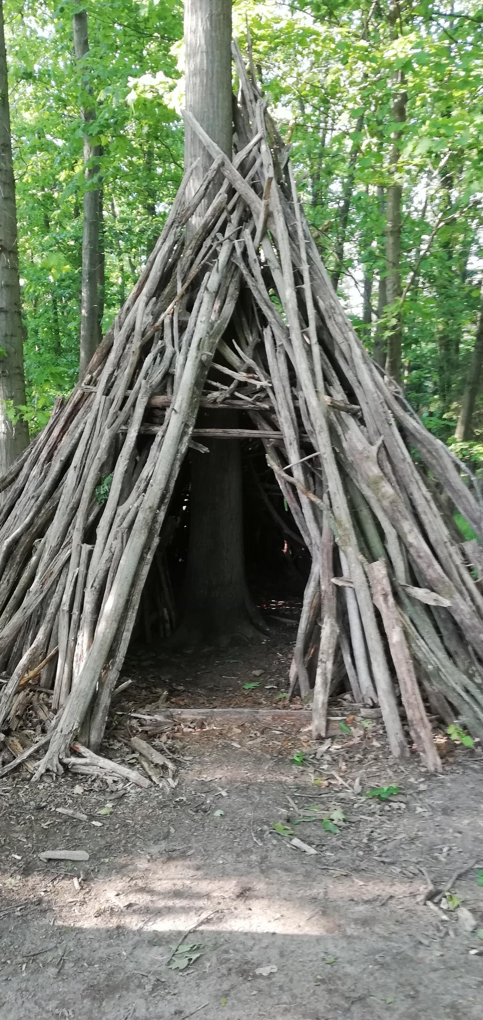 Darf Ich In Meinem Wald Eine Hütte Bauen