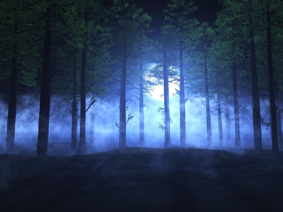 Darf man theoretisch morgens um 3-4 uhr Nackt durch den Wald laufen
