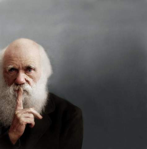 Darwin-warum Zeigefinger vor Lippen?