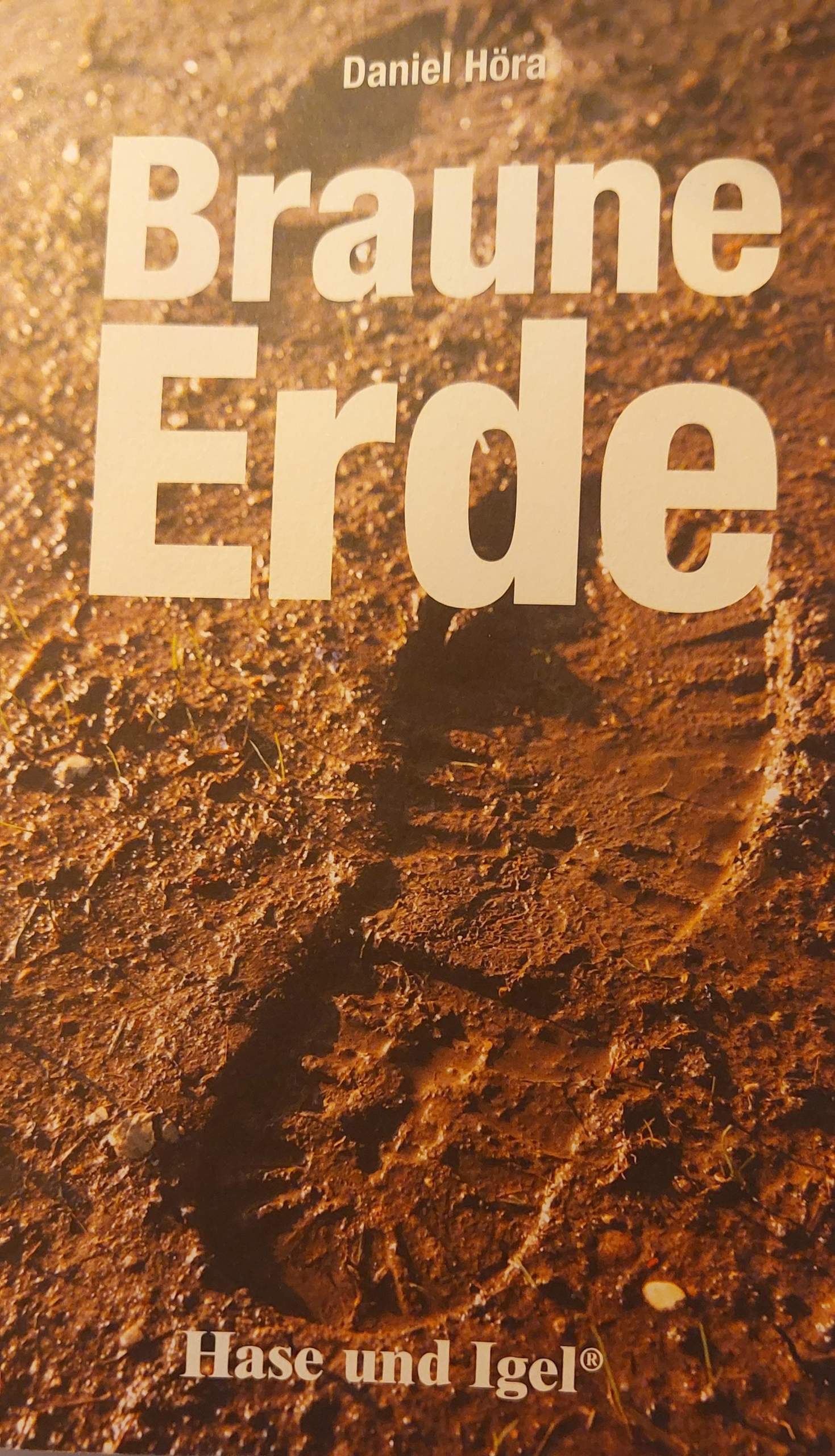 wie risse in der erde buch