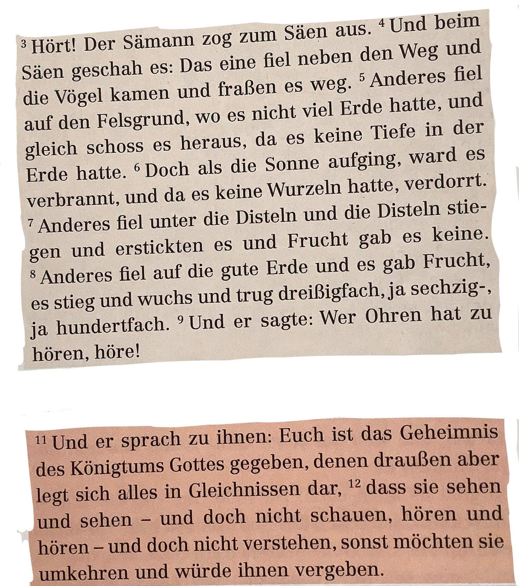 Das Gleichnis vom Sämann? (Schule, Religion, Hausaufgaben)