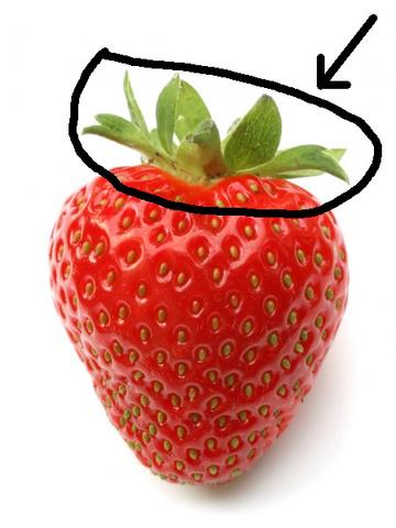 Erdbeere mit »Grutze« - (Deutsch, Sprache, Obst)