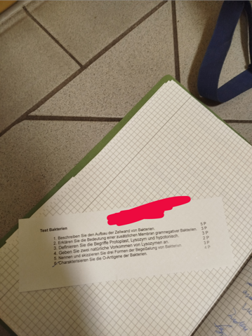 Bild zum Beitrag