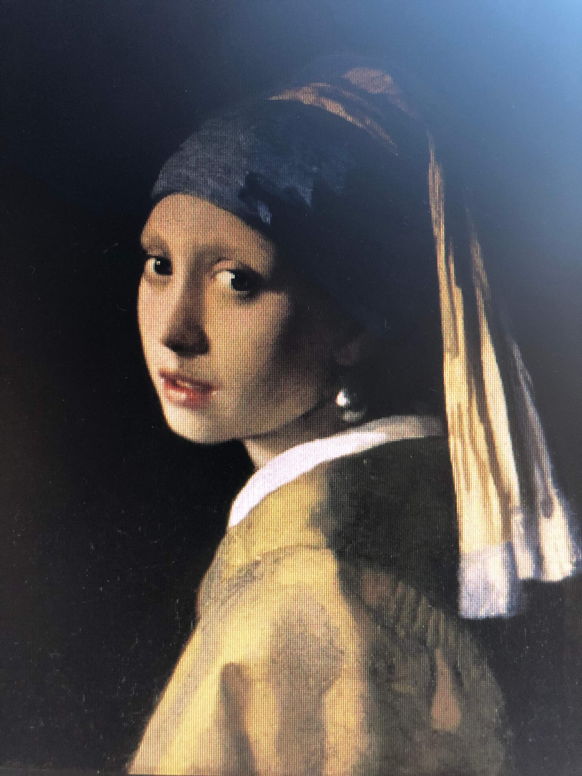 Das Mädchen Mit Dem Perlenohrgehänge Das Mädchen mit dem Perlenohrring wirkung? (Schule, Kunst)