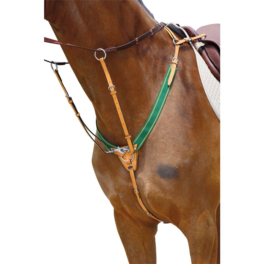 Das Martingal beim Ausreiten..? (Pferde, Vorderzeug)