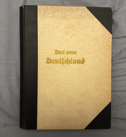 Bild zum Beitrag