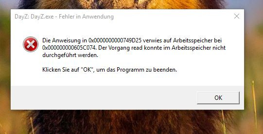 DayZ: Dayz.exe - Fehler in Anwendung - (Fehler, Fehlermeldung, Arbeitsspeicher)